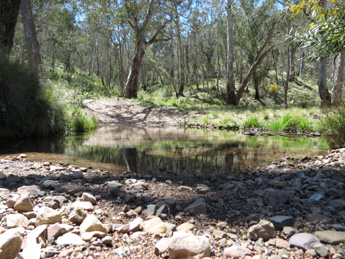 4WD Tours | eco tourism